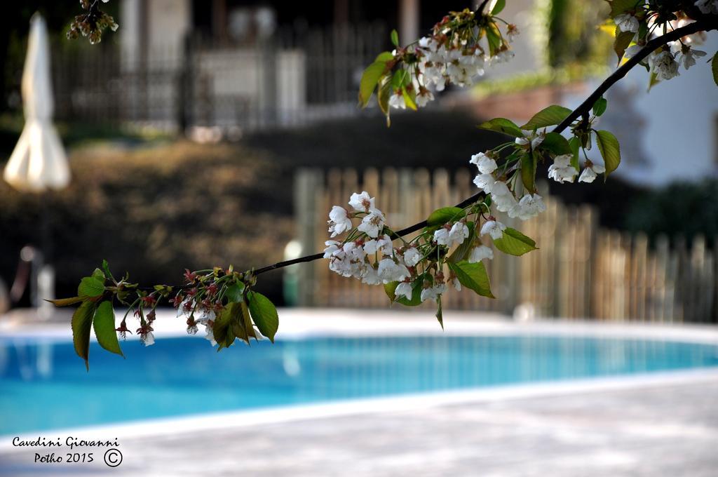 Agriturismo & Agricamping Serena Pastrengo Exterior foto